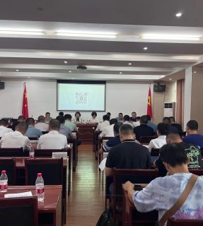 黄冈|毕加索受邀参加黄冈市政府采购支持绿色建材促进建筑品质提升全国试点城市项目建设推进会